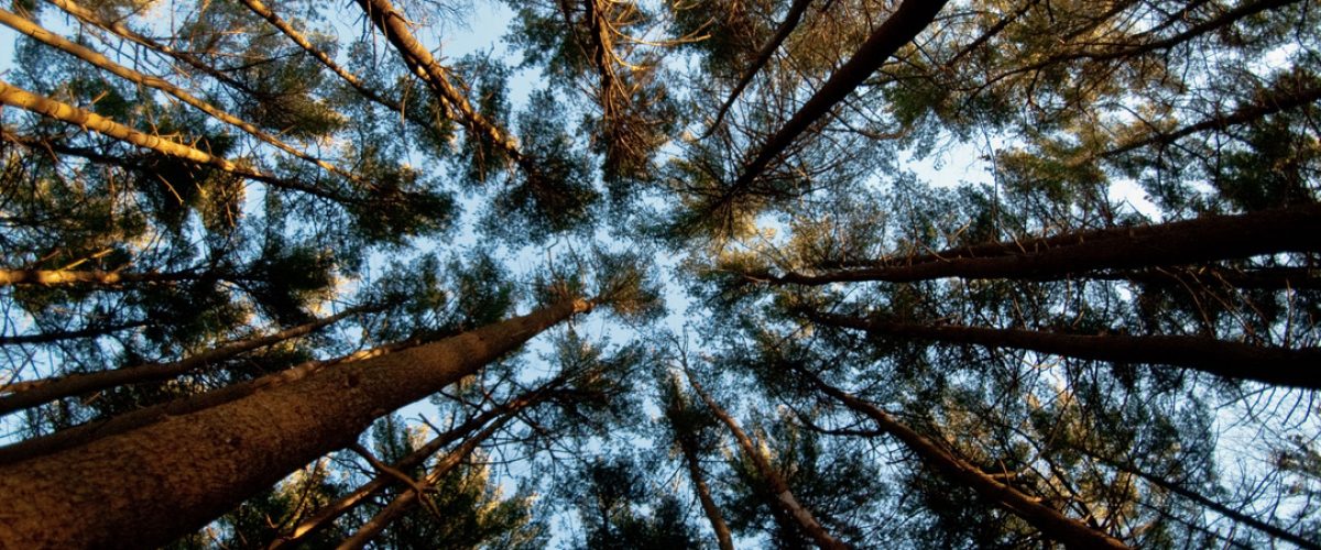 TW_IMG_stock-Photo-03_R00